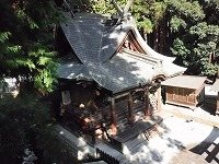 Sugitani Shrine main sanctuary — condition survey