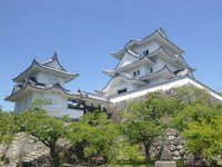 Iga Bunka Sangyo Castle (Iga Ueno Castle keep) — detailed survey
